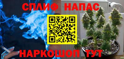 винт Новозыбков